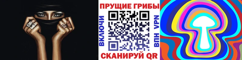 Псилоцибиновые грибы Magic Shrooms  mega ссылки  shop телеграм  Георгиевск 