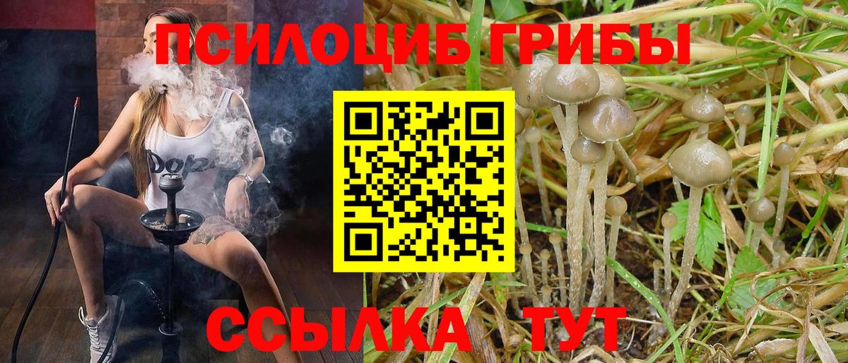 Галлюциногенные грибы Magic Shrooms  купить закладку  Георгиевск  Вход с VPN 
