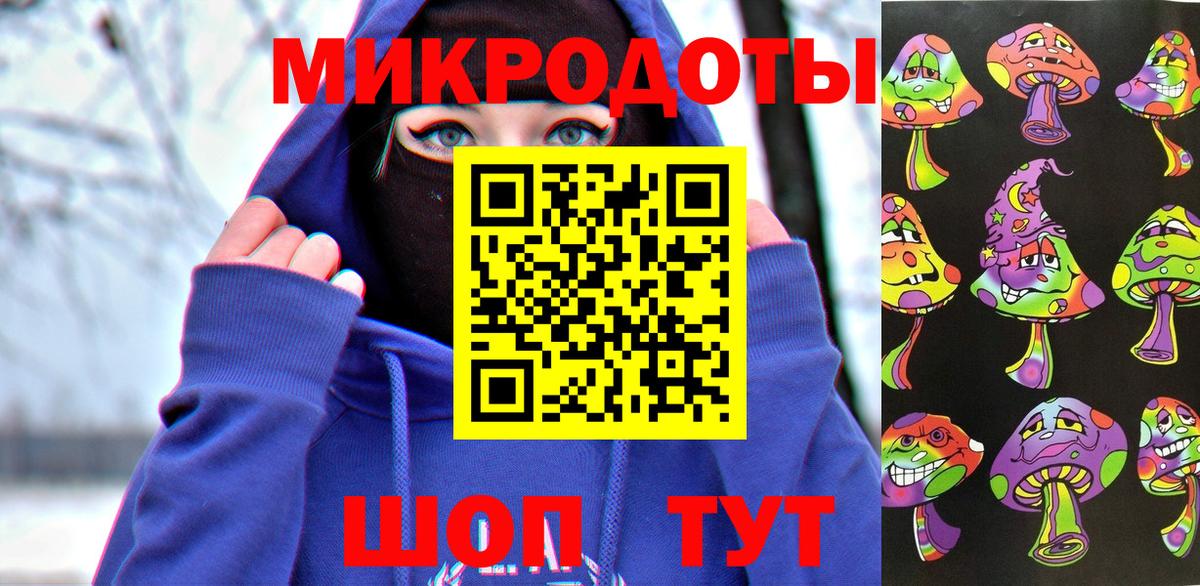 Псилоцибиновые грибы Psilocybine cubensis Георгиевск